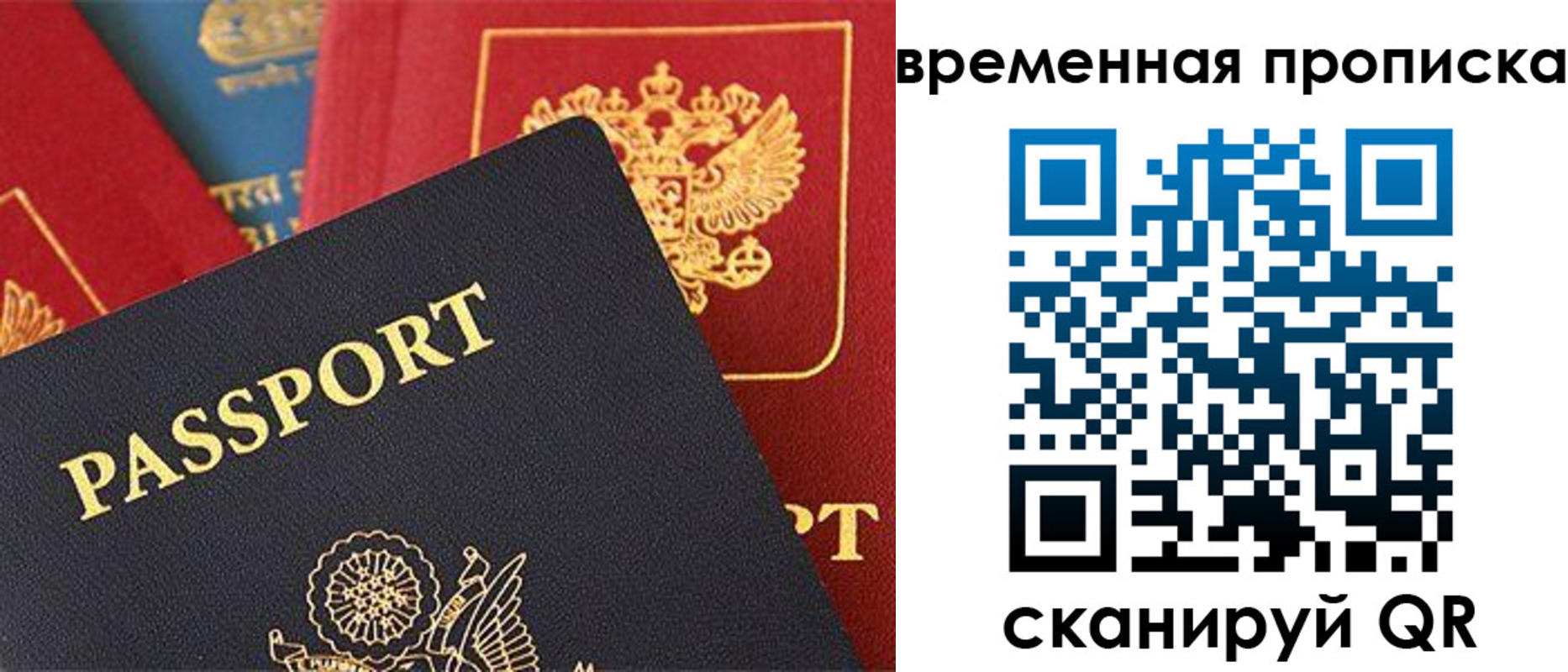 прописка для школы в Гвардейске
